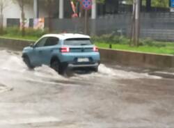 Malpempo Legnano