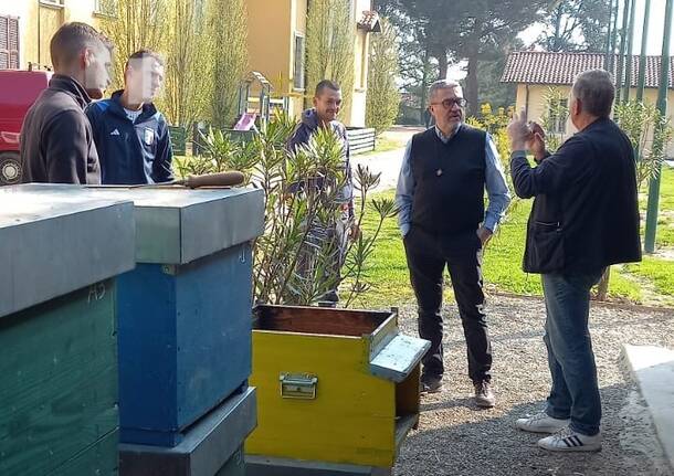Orticola Varese