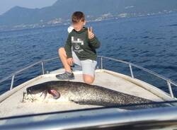 Pesca Siluro 