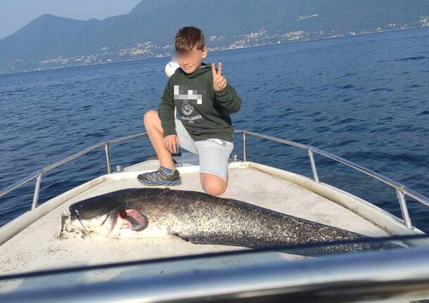 Pesca Siluro 