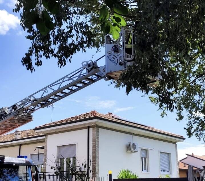 Ramo pericolante sulla ferrovia 2agosto 