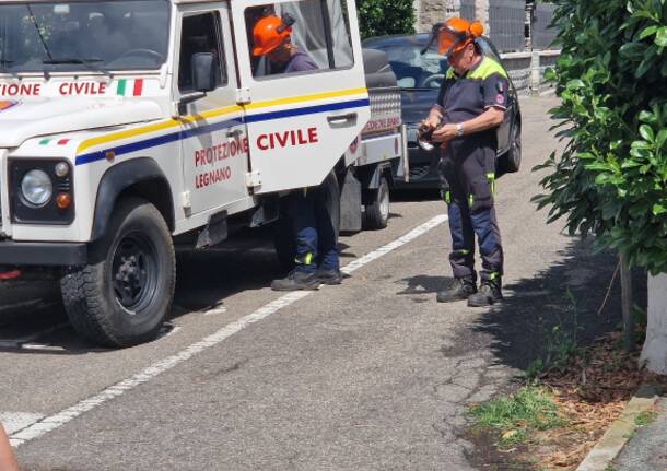 Ramo pericolante sulla ferrovia a Legnano: Vigili del fuoco in azione