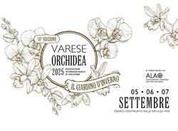 Agricola orchidea