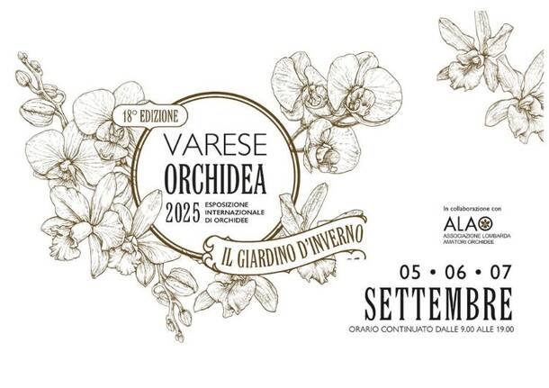 Agricola orchidea