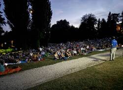 stelle cadenti