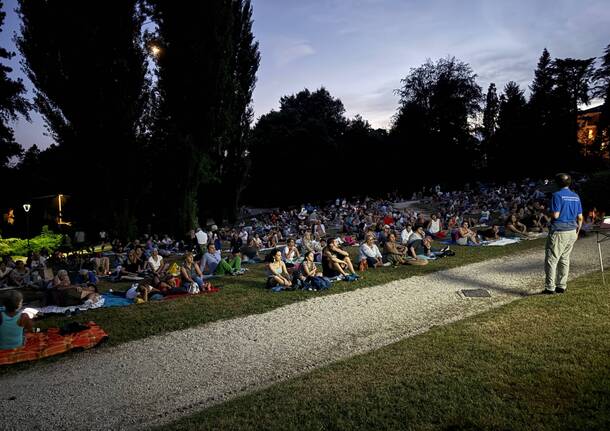 stelle cadenti