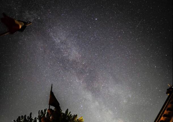 stelle cadenti