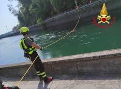Vizzola
