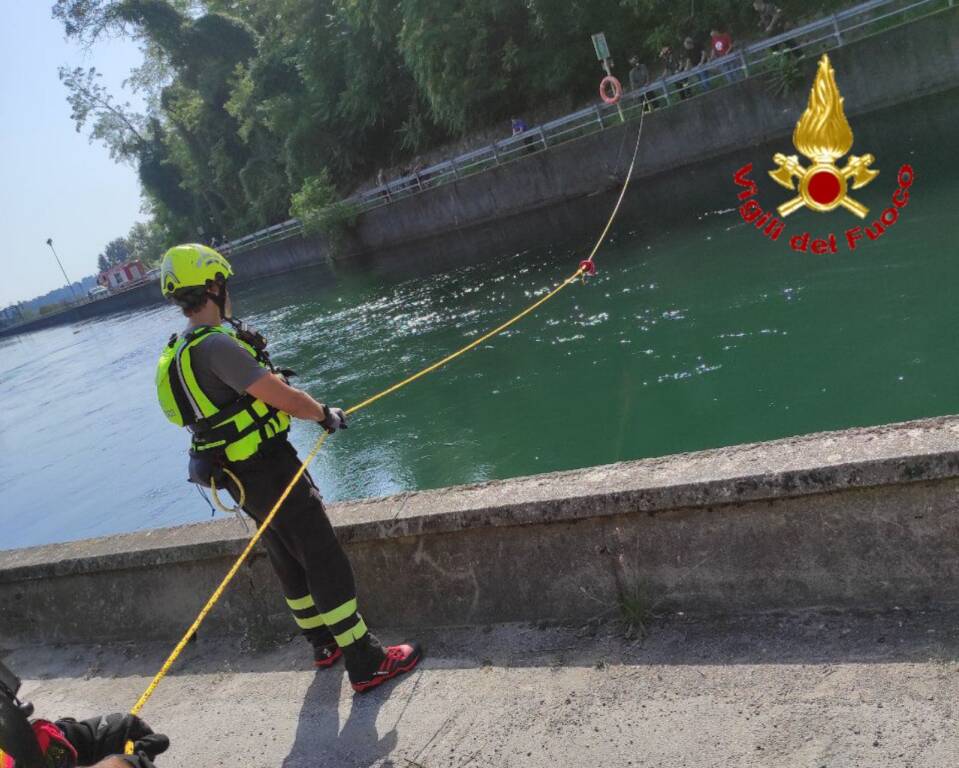 Vizzola