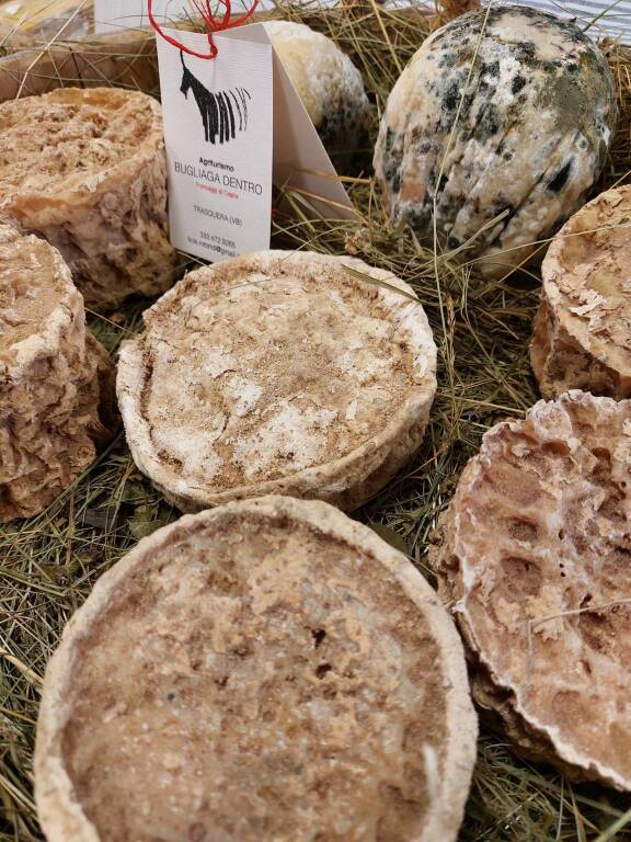 A Crodo "BiancoLatte: l'oro d'Alta Ossola"