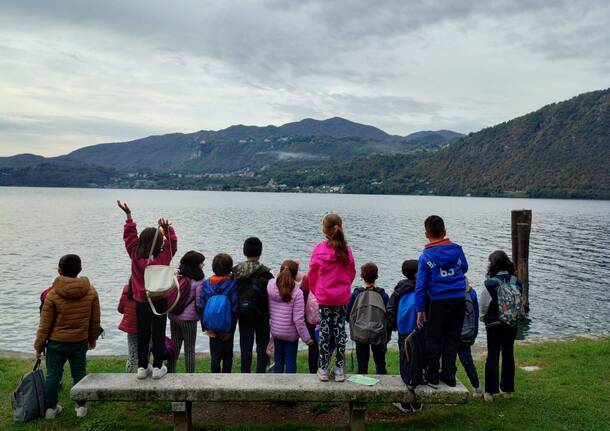 A tutto lago - ecomuseo del lago d'orta 
