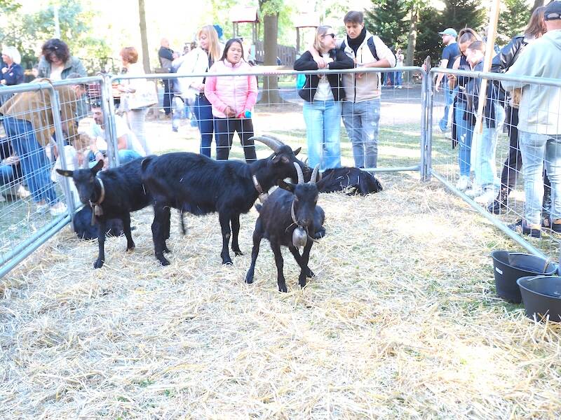 AgriVarese a Busto Arisizio - 2025