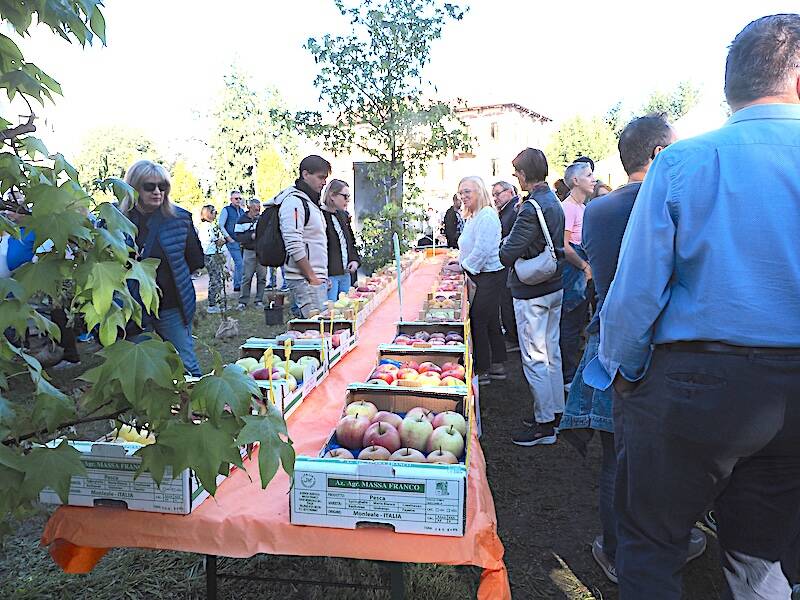 AgriVarese a Busto Arisizio - 2025