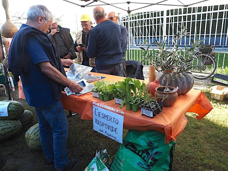AgriVarese a Busto Arisizio - 2025
