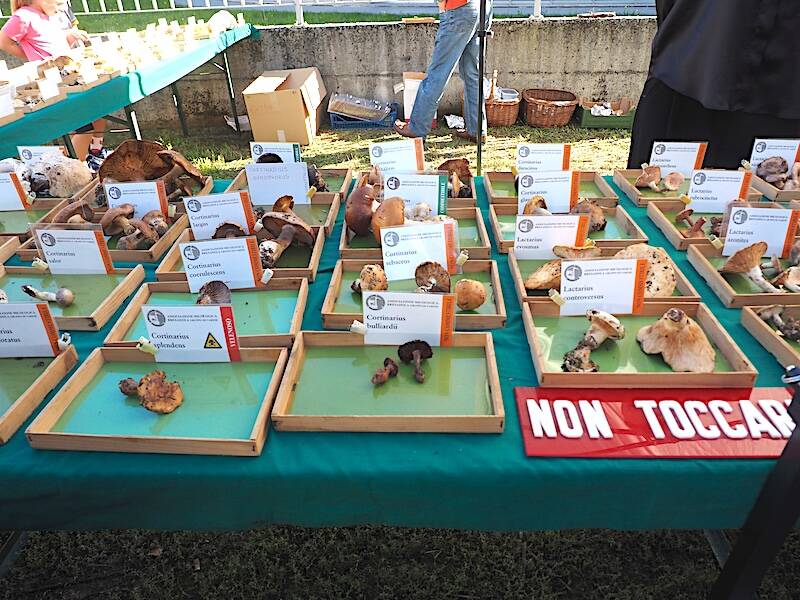 AgriVarese a Busto Arisizio - 2025