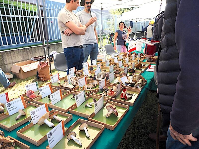AgriVarese a Busto Arisizio - 2025