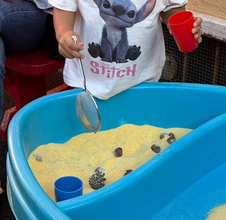 asilo luvinate rinnovato