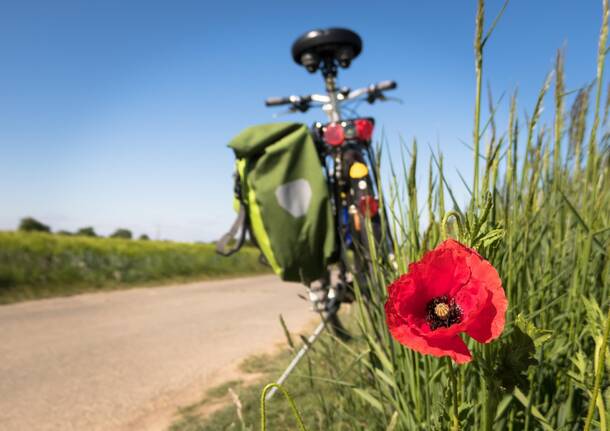 bici - Biciclettata 