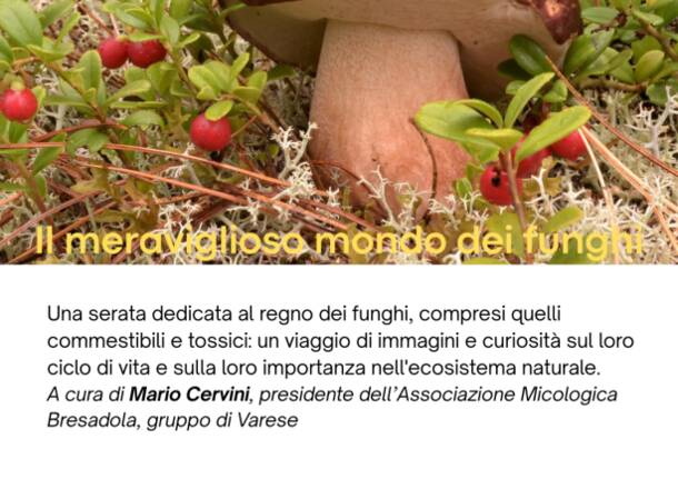 Il meraviglioso mondo dei funghi - A cura di Mario Cervini, Associazione Micologica Bresadola