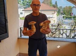 Funghi in piemonte