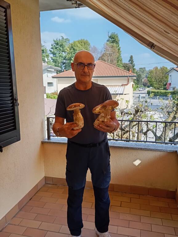 Funghi in piemonte