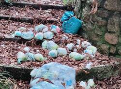 Spazzatura alle Grotte della Valganna