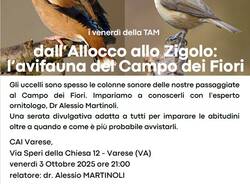 Dall’Allocco allo Zigolo: L’avifauna del Campo dei Fiori