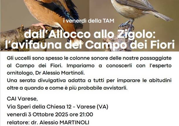 Dall’Allocco allo Zigolo: L’avifauna del Campo dei Fiori