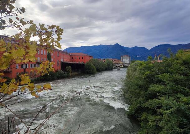 Colori autunnali sul fiume Tresa tra Luino e Germignaga