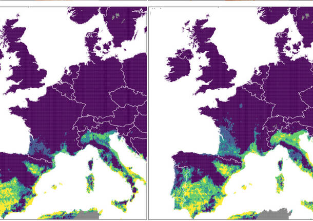 dengue italia