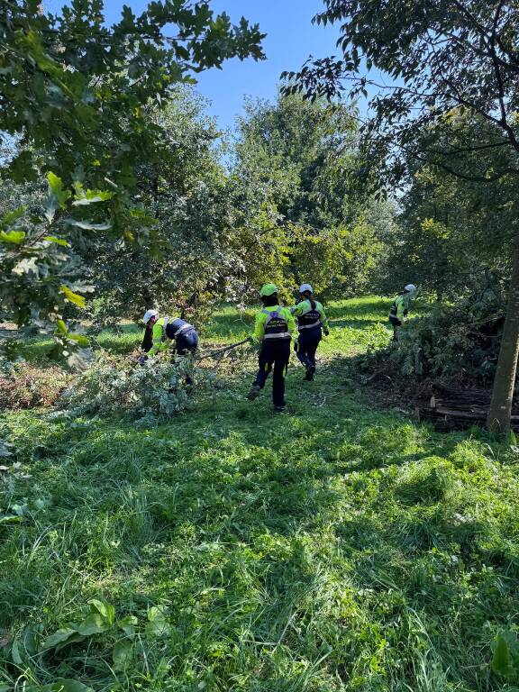 Esercitazione Protezione Civile Legnano 