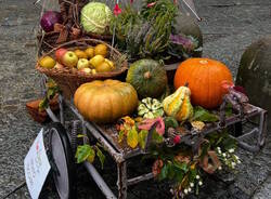 festa d'autunno somma lombardo