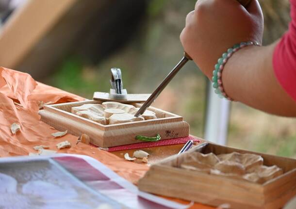 Festa della Zucca Gavirate