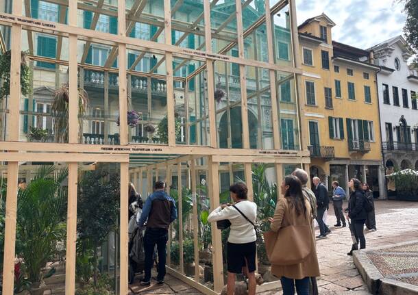 Freedom in piazza podestà 