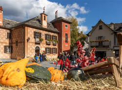 fuori di zucca 