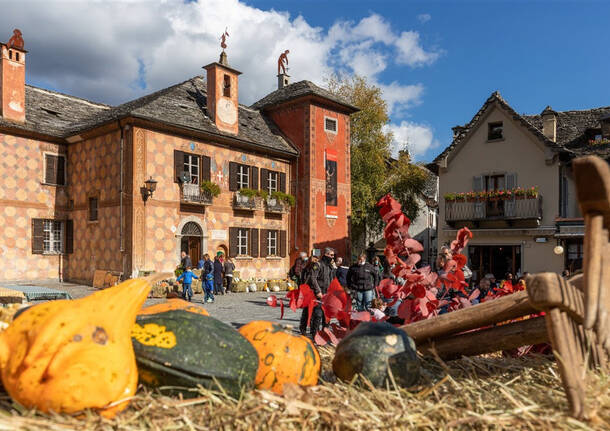 fuori di zucca 