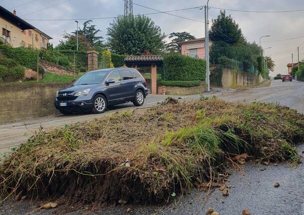 Generico 22 Sep 2025