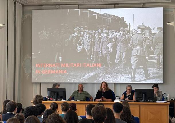 giornata di studio sugli IMI