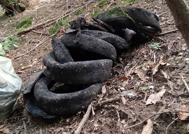 Gli Amici di Bregazzana e il team VF riparano i sentieri del Parco del Campo dei Fiori