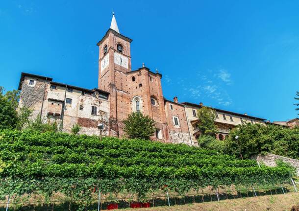 Il collegiata - castiglione olona - vino 