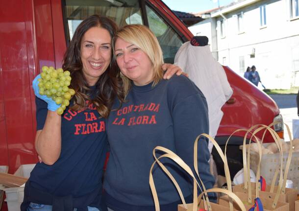 La Festa dell’Uva in contrada La Flora a Legnano – Foto di Antonio Pasquale Emanuele