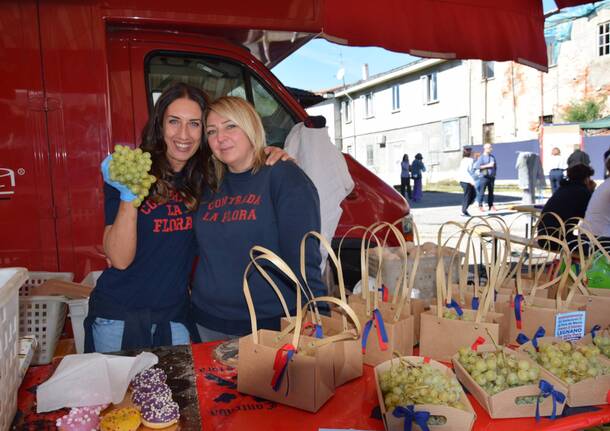 La Festa dell'Uva in contrada La Flora a Legnano - Foto di Antonio Pasquale Emanuele