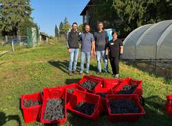 La vinificazione all'Isis Newton