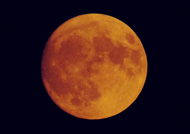 luna rossa