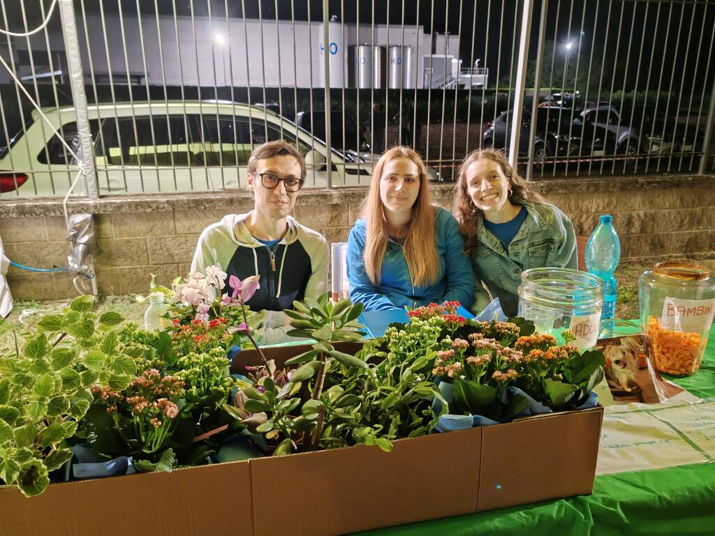 Madonna dell'Albero Prospiano Gorla Minore 2025