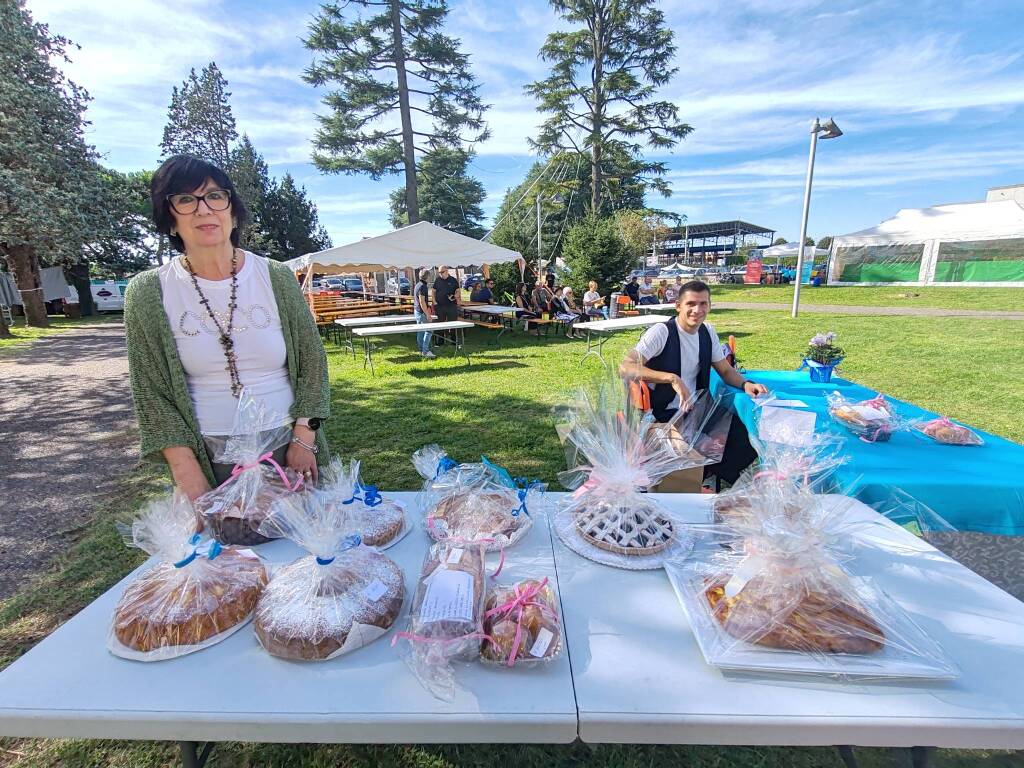 Madonna dell'Albero Prospiano Gorla Minore 2025