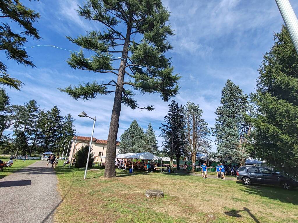 Madonna dell'Albero Prospiano Gorla Minore 2025