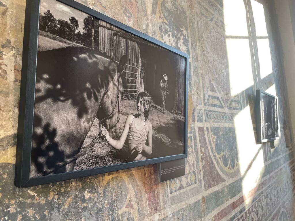 Mostre sport Castello