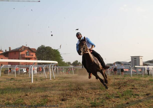 palio abbiategrasso