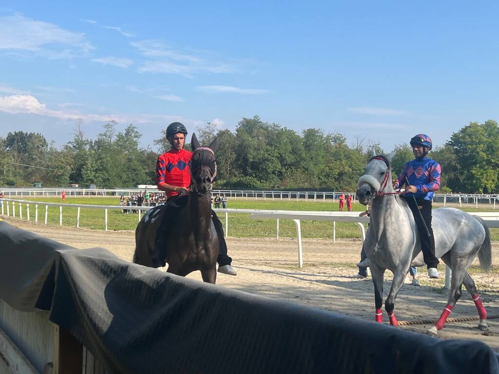 Palio di Legnano, corse settembre 2025